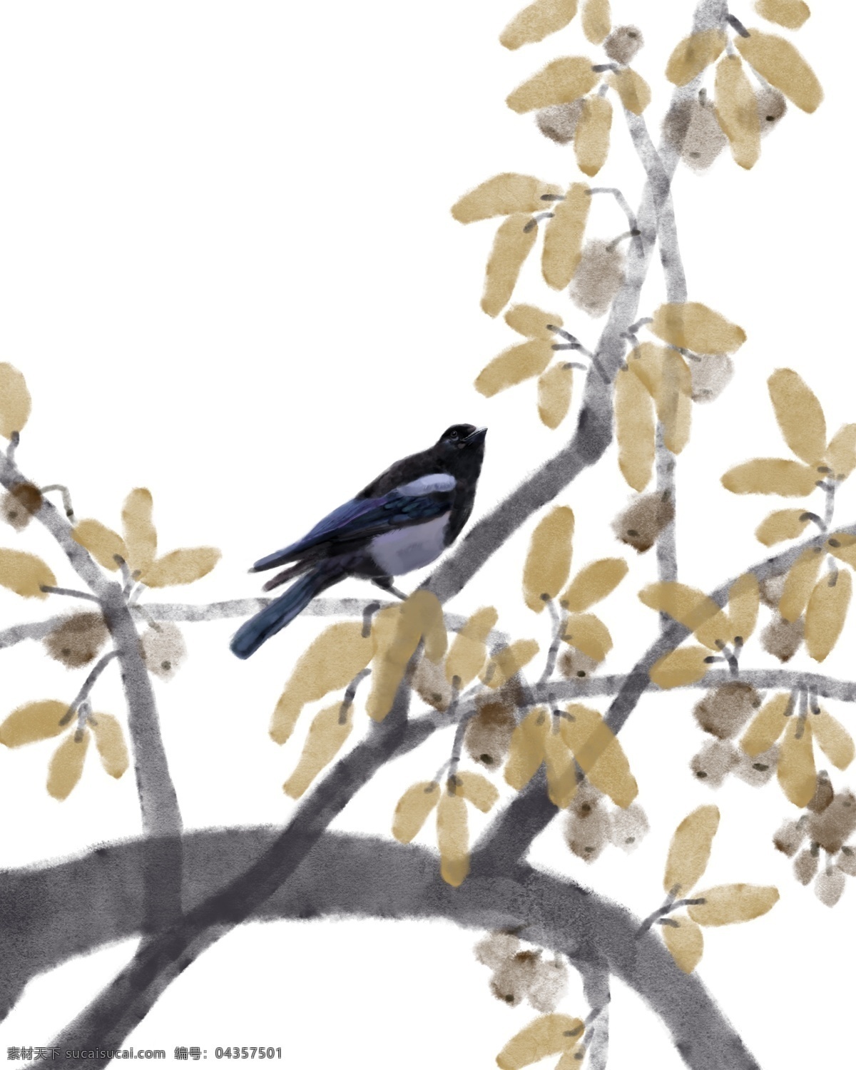 手绘 鸟 树枝 插画 在树枝上的鸟 动物 黄色的树叶 金叶子 工笔画 手绘树枝插画 黑色的小鸟 冬季的叶子