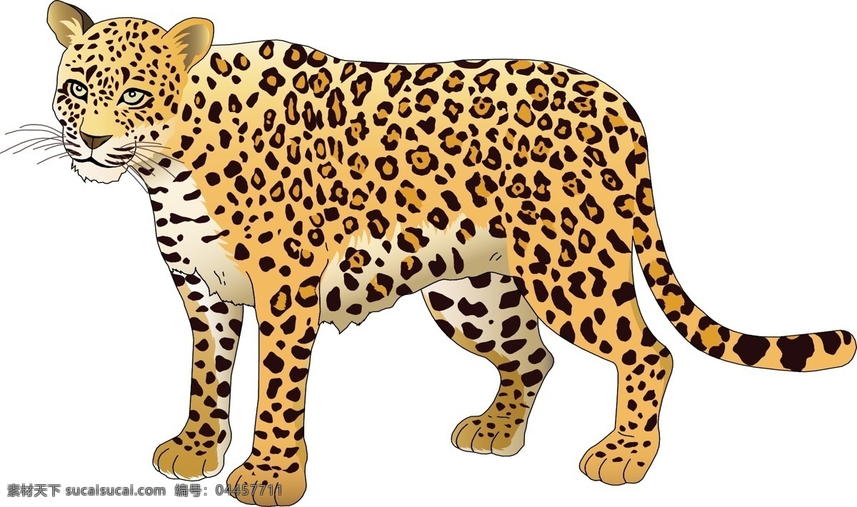幼儿园 卡通 墙 贴 动物 墙贴 野生动物 猎豹 矢量图 其他矢量图