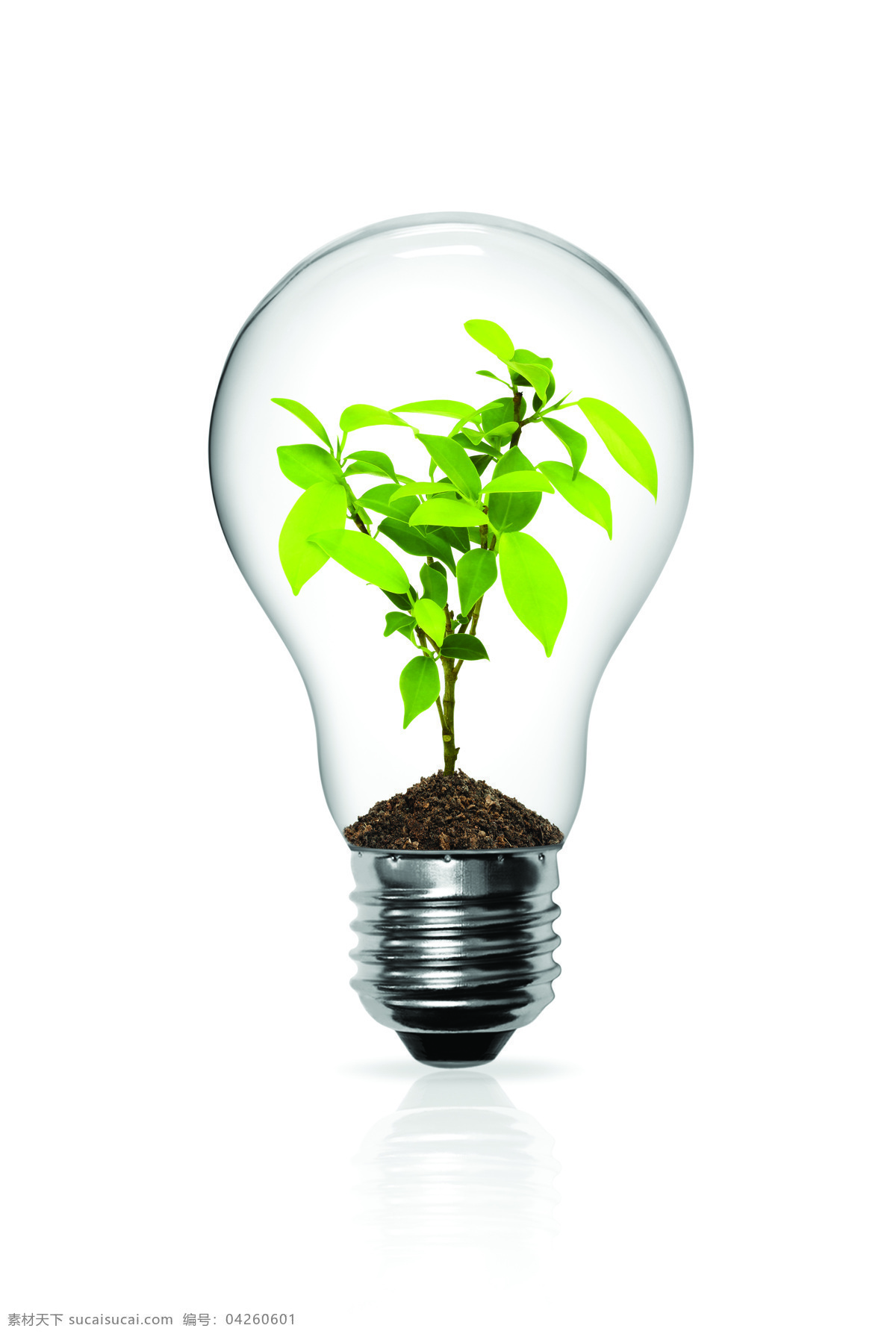 创意 电灯 设计素材 植物 树叶 电灯素材 电灯设计 效果图 节能 灯泡 生活用品 生活百科