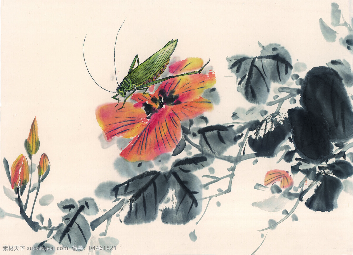 蟋蟀 写意花虫 昆虫画 国画0059 国画 设计素材 昆虫画篇 中国画篇 书画美术 白色