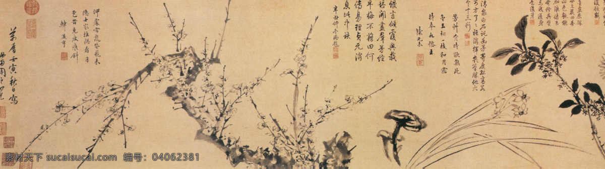 百花 图 花鸟画 百花图 周之冕 中国传世名画 古典花鸟画 花卉 文化艺术