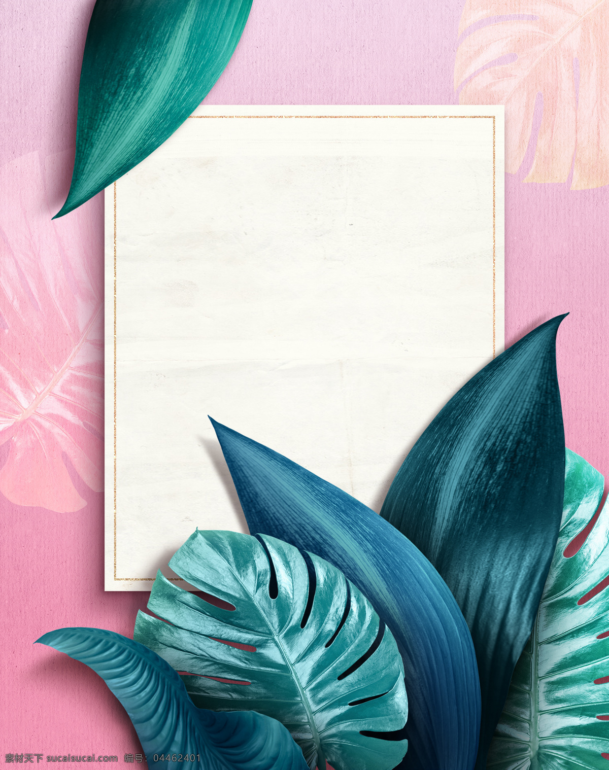 夏季 热带 植物 花卉 背景 时尚 促销 卡片 叶子 夏天 精致 小清新 粉色 浪漫