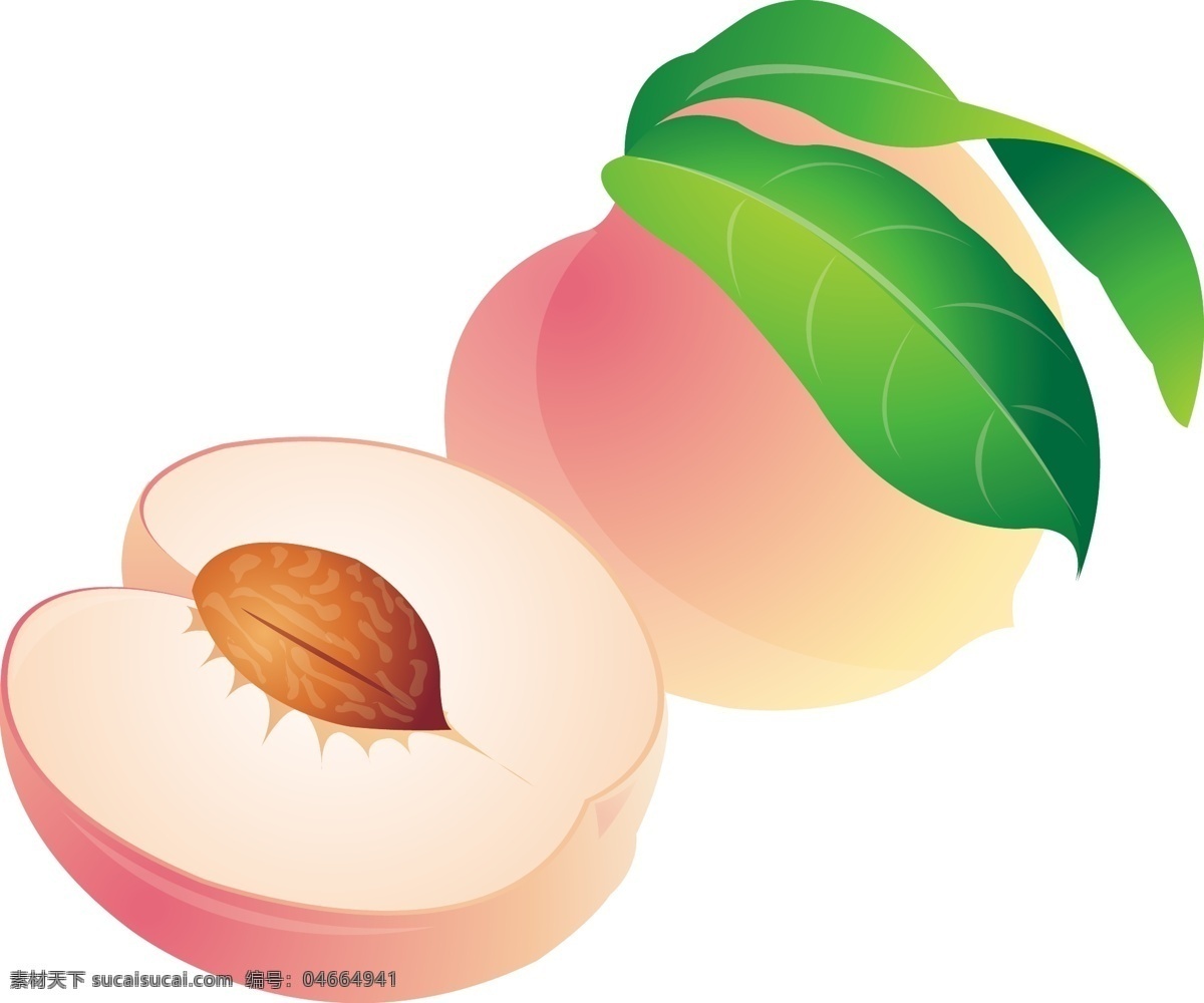 矢量桃子 粉桃 矢量 桃子 切开的桃子 生物世界 水果 拟真水果 矢量图库