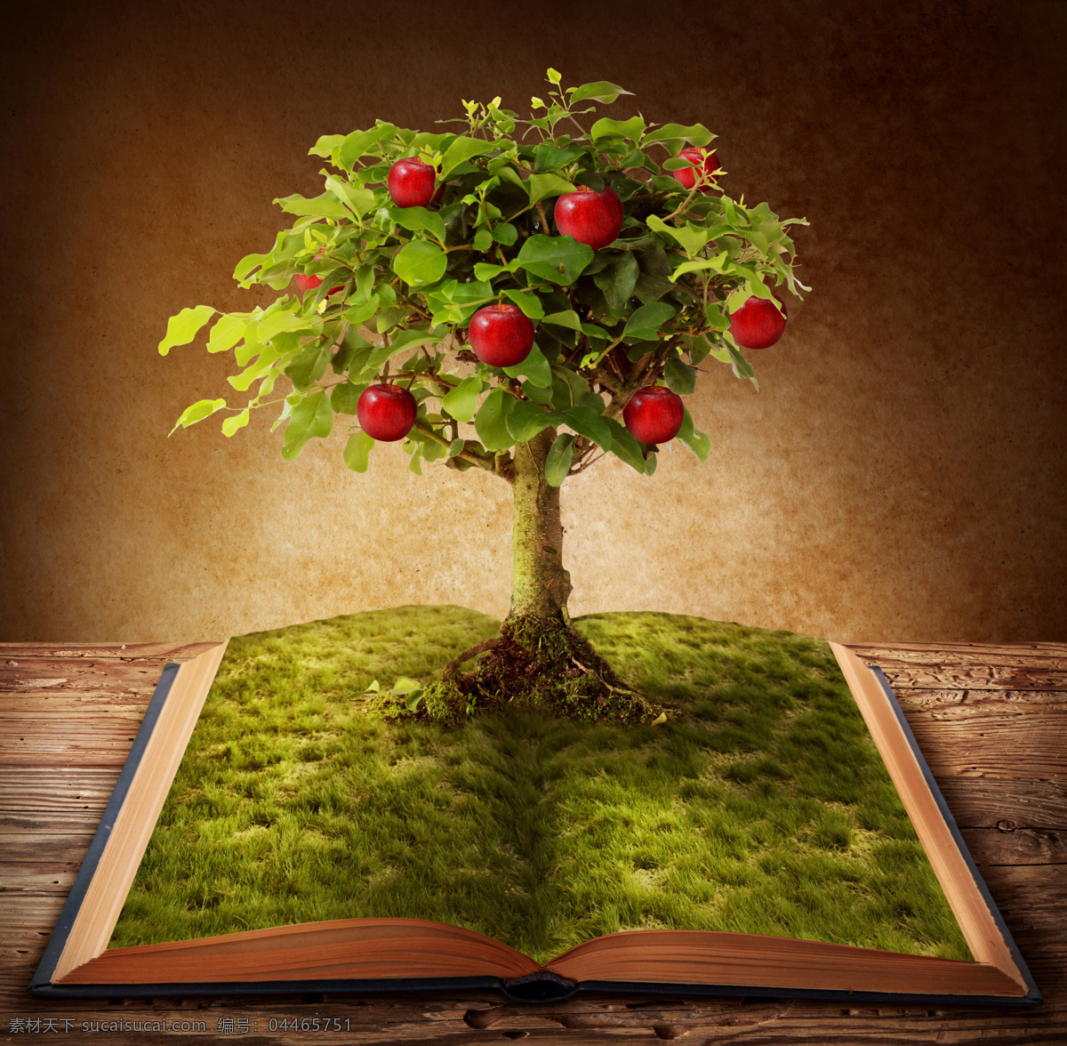 书本与苹果树 书本 书籍 翻开的书 学习 知识 希望 树木 大树 草地 苹果 果树 收获 花草树木 生物世界 黑色