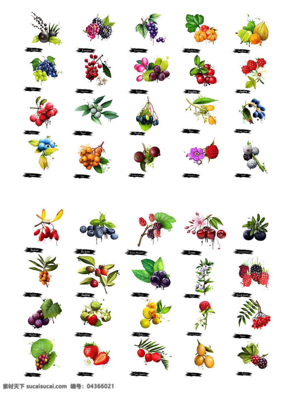 手绘 水果 鲜花 集合 图案 花朵 植物 瓜果 蔬菜