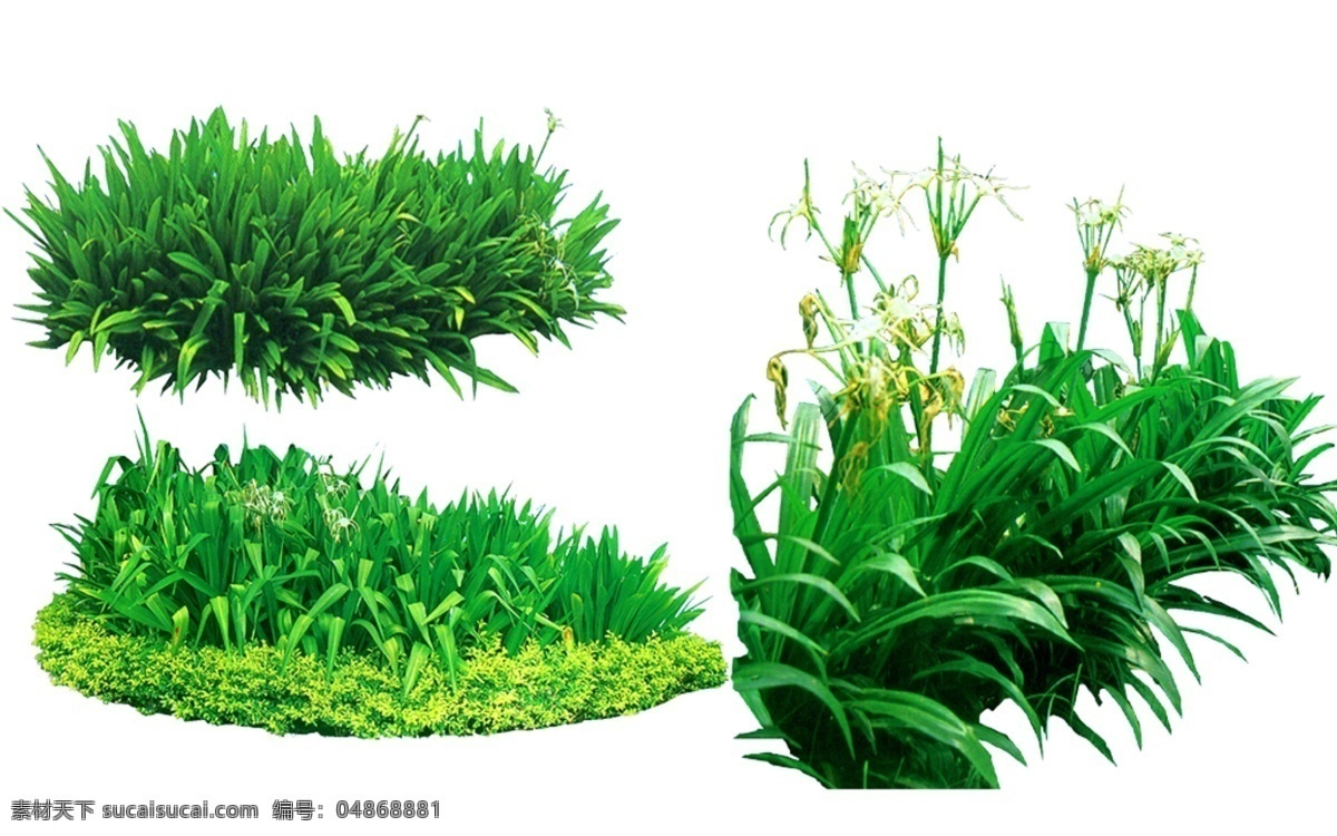 园林绿化植物树木兰花PSD素材图片下载-素材编号04868881-素材天下图库