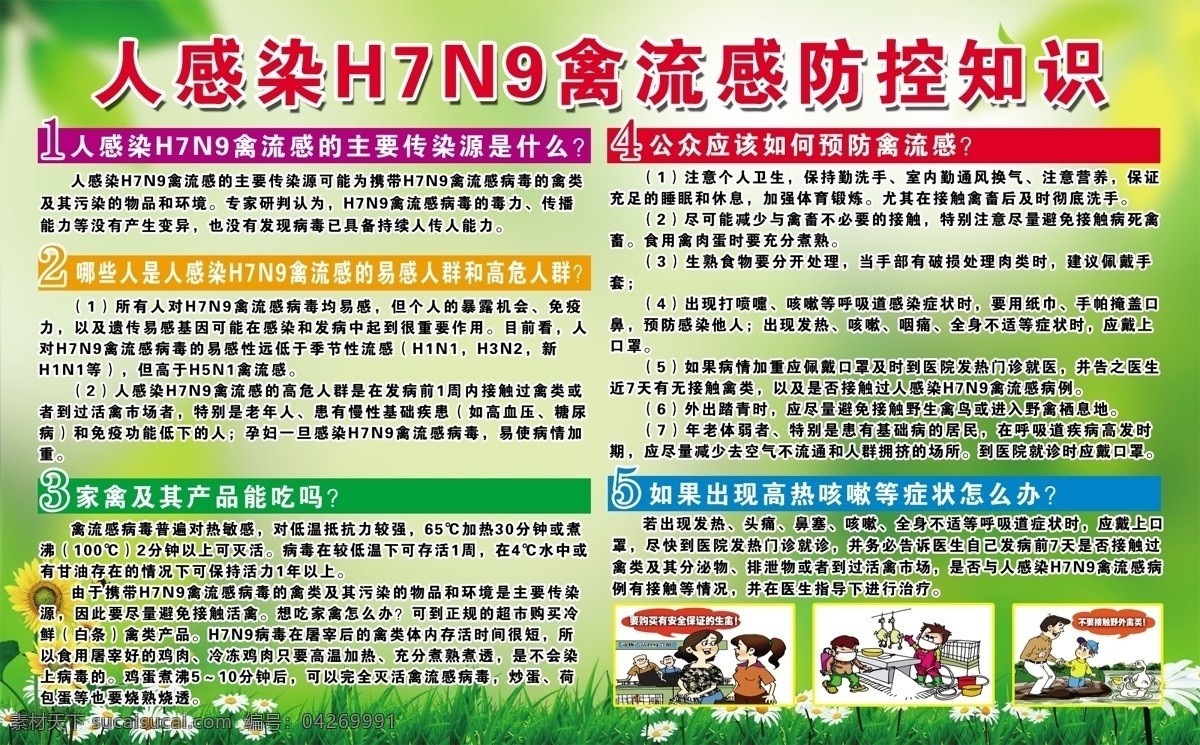 h7n9 禽流感 防控知识 人 感染 防控 知识 主要传染源 易感 人群 高危 预防禽流感 绿色