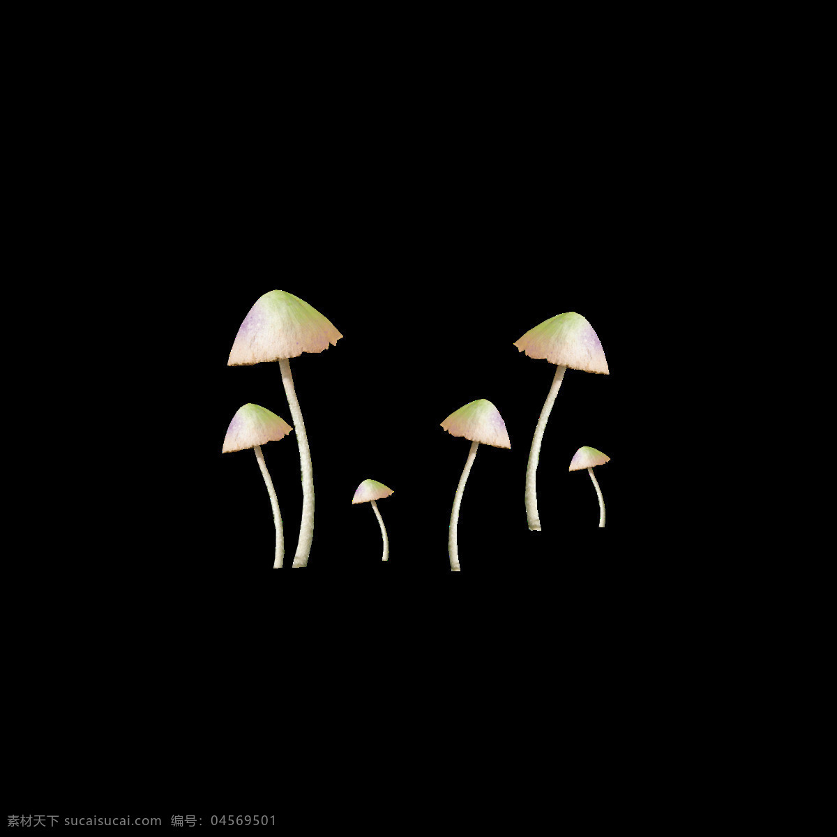手绘 可爱 小 蘑菇 元素 png元素 菌类 免抠元素 蔬菜 透明元素 小蘑菇 植物