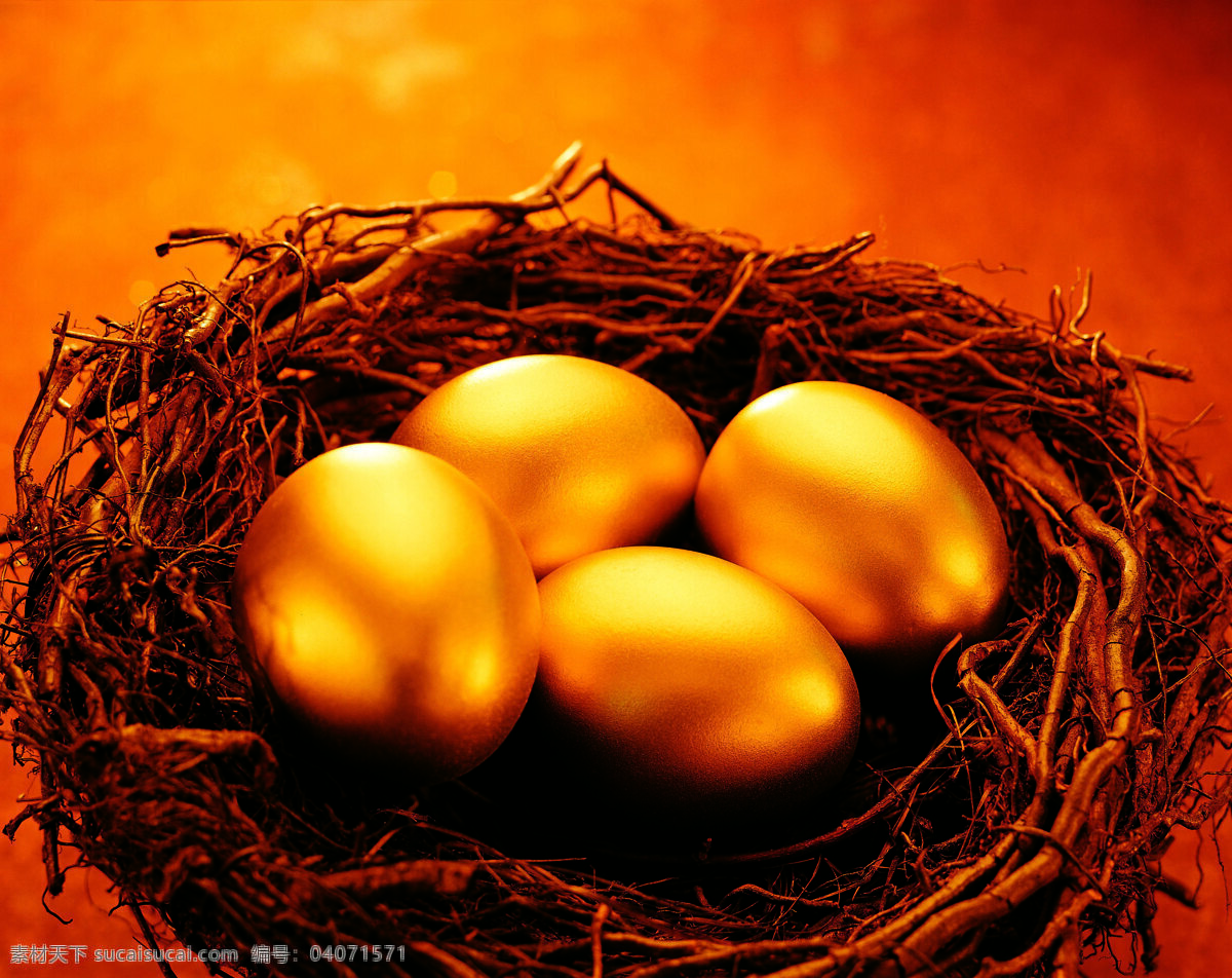 窝 金 蛋 图 金蛋 金蛋素材 金蛋摄影 鸡蛋 鸡蛋素材 金子 金子素材 金光闪闪 金色 金色底纹 金色背景 金融货币 商务金融