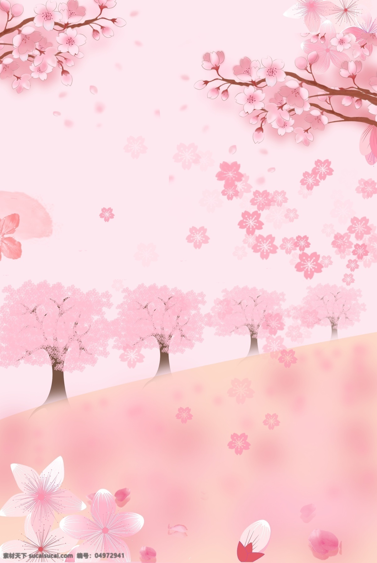 粉色 樱花 校园 观赏 海报 背景 粉色花朵 花瓣 唯美樱花 樱花校园 樱花季