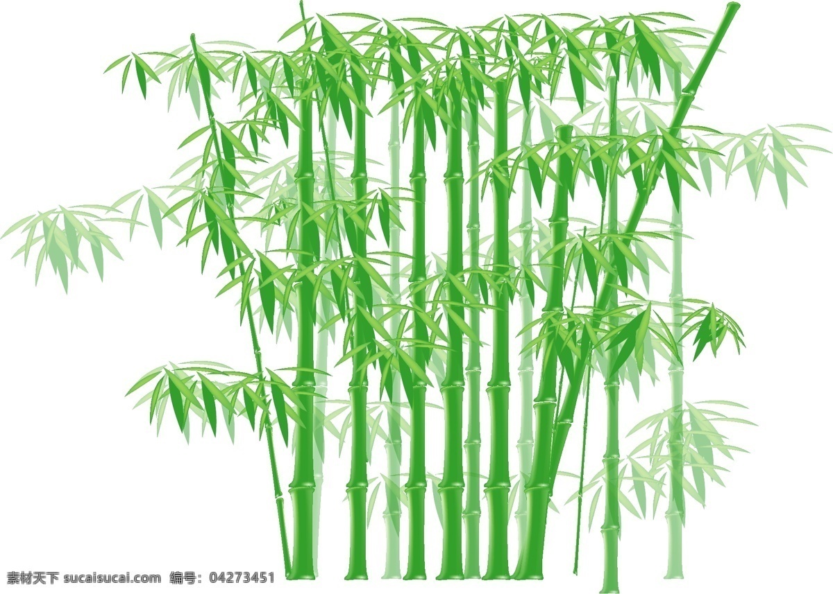 青翠 竹林 向量 竹 绿色 白色