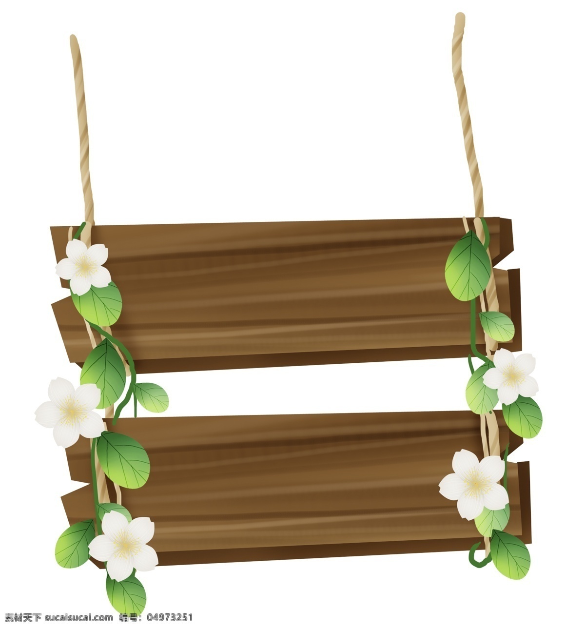 花 藤 木纹 提示 框 植物 木板 文字 春天 白色花朵 标题 夏天
