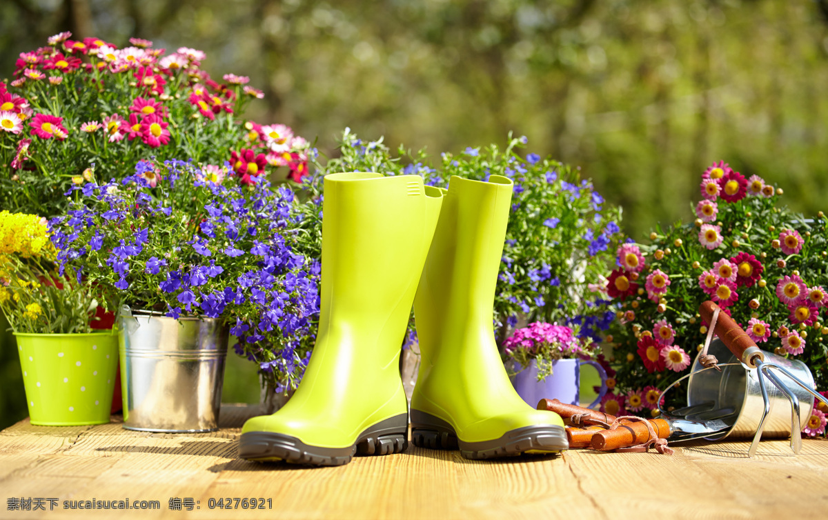 雨鞋 鲜花 雨靴 花朵 花卉植物 花盆 园艺工具 园林景观 环境家居