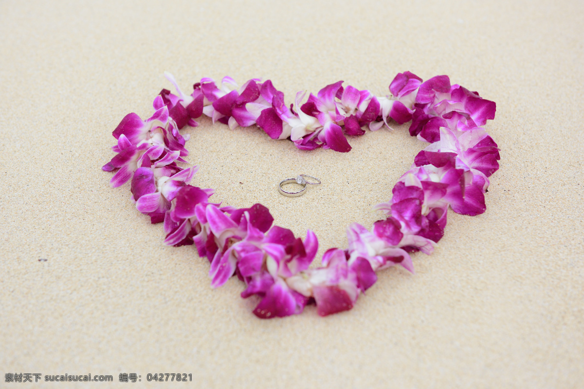 紫色 花朵 心形 花瓣 鲜花 爱心 桃心 求婚场景 沙滩 沙子 其他类别 生活百科