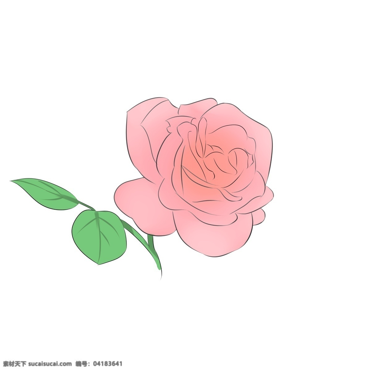 朵 红色 玫瑰 插画 玫瑰花 一朵玫瑰 一朵花 红色玫瑰 漂亮的红玫瑰 玫瑰花插图 绿色叶子
