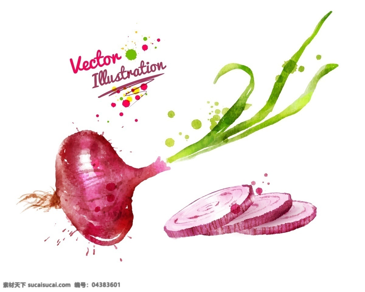洋葱 创意 喷溅 水彩 墨迹 水果 蔬菜 矢量 紫色 插画 水墨 手绘 墨点