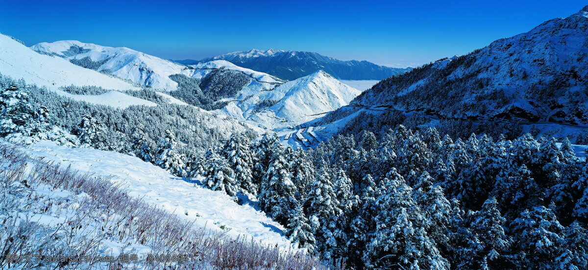 冬天 雪景 大雪 冬天雪景 风景 生活 旅游餐饮