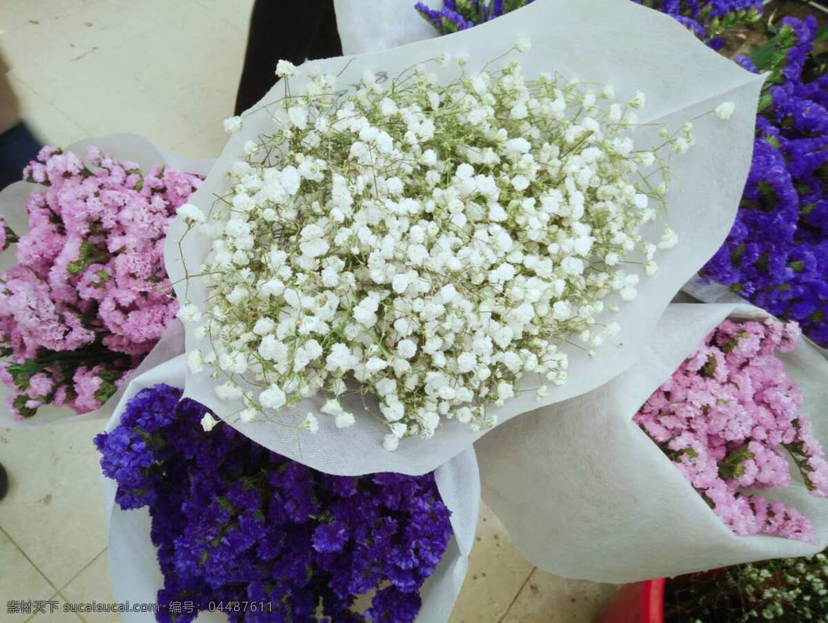 星 光 自然 美丽的 装饰 装修 紫色 白色 粉色 包装花束 满天星花 鲜花摄影 生物世界 花草