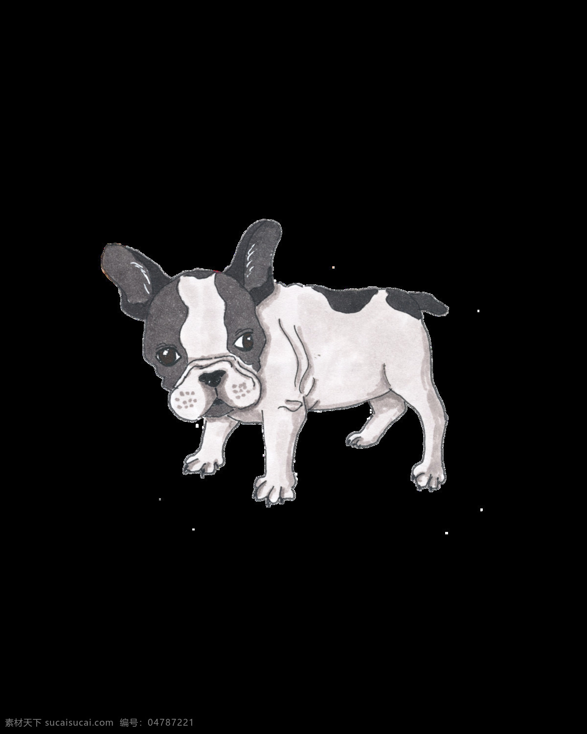 只 斗牛 犬 透明 白色 宠物 灰色 卡通 可爱 卖萌 免扣素材 透明素材 装饰图案