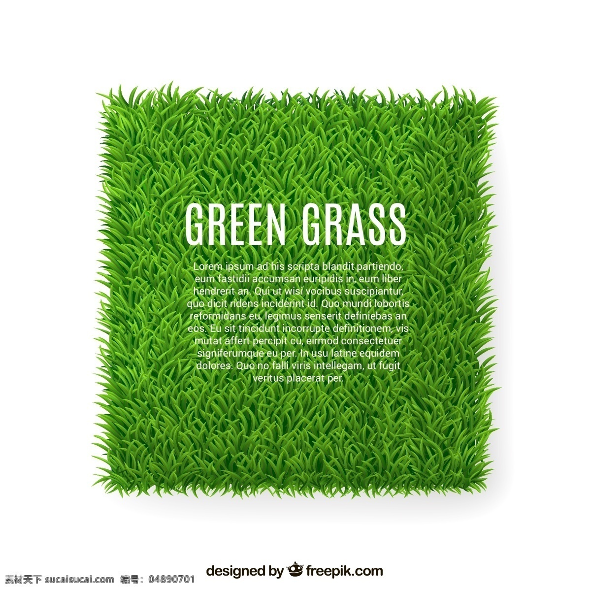 绿色草坪 绿色 草坪 草丛 草 植物 草地 装饰 卡片 插画 背景 海报 画册 矢量植物 生物世界 花草 白色