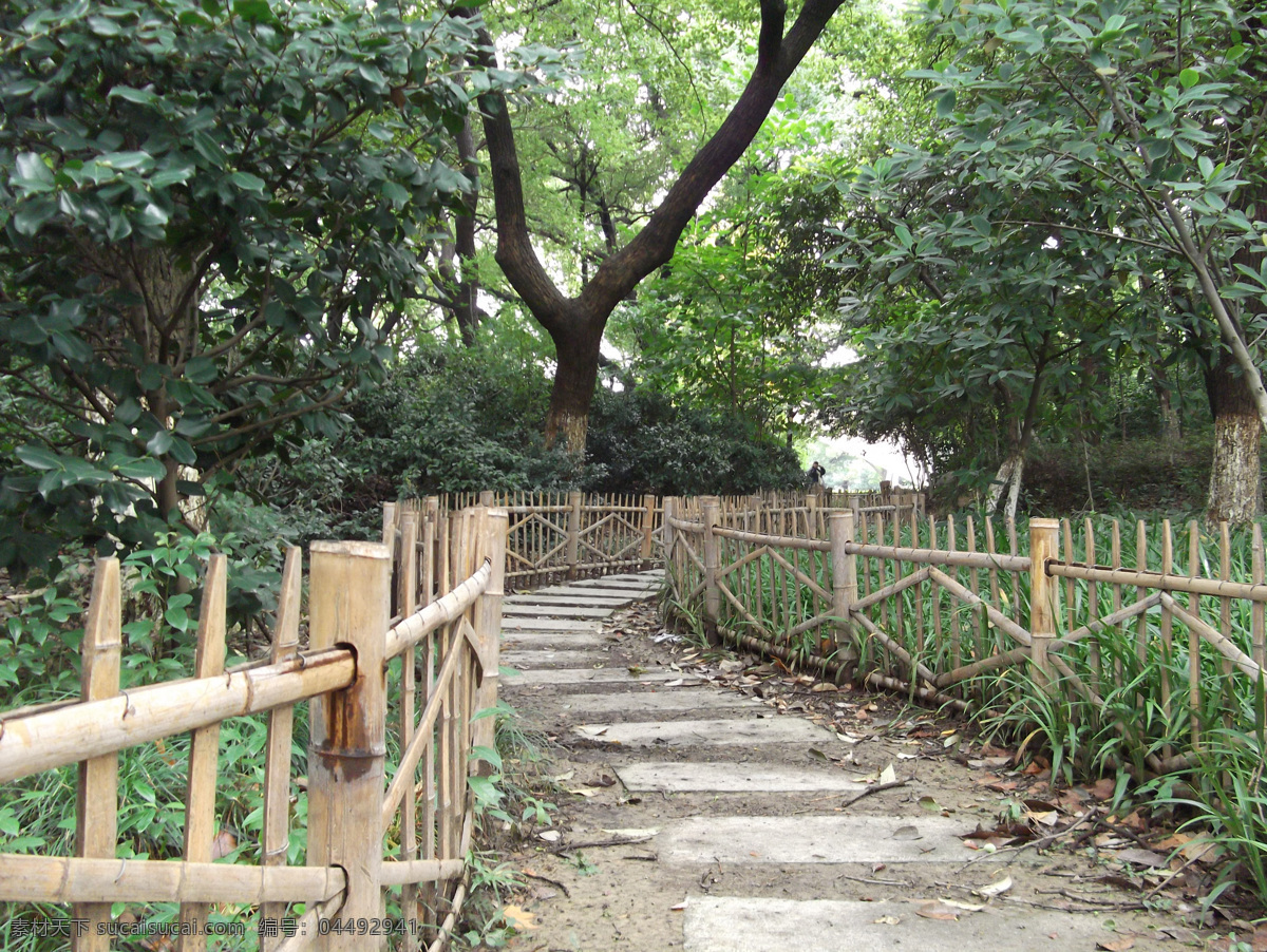 竹篱笆 篱笆 小路 树林 风景 自然风光 自然风景 绿树 公园 园林建筑 建筑园林