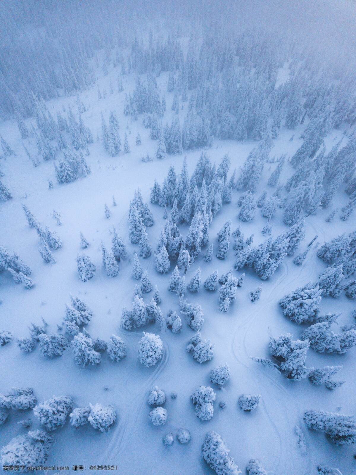 冰雪森林 冰雪 雪花 森林 树林 冬天 冬季 冬雪 雪 白雪 自然景观 自然风景