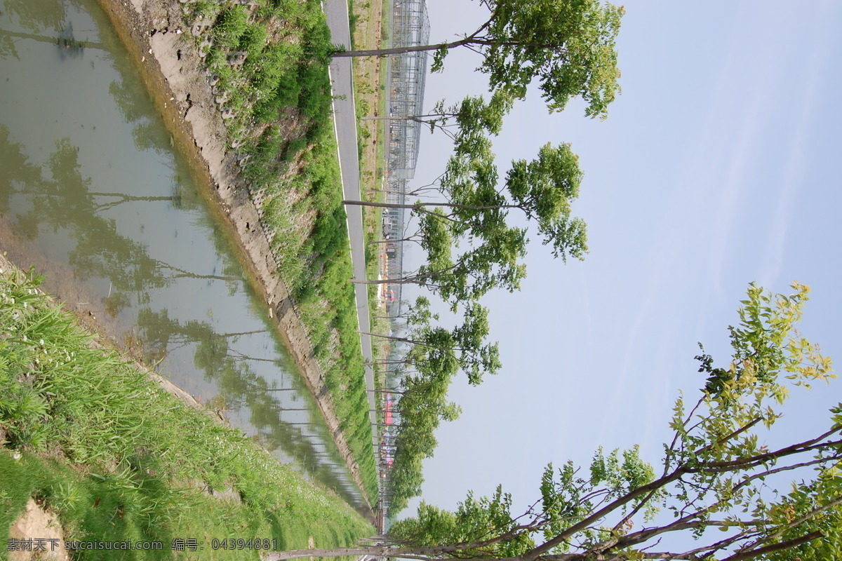 河道 树林 阵列 蓝天 河流 水 生物世界 树木树叶 灰色