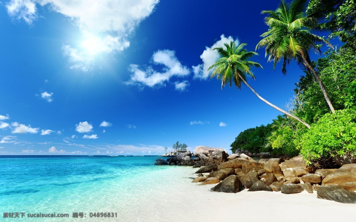 唯美 风景 风光 自然 海边 大海 波利尼西亚 波拉波拉岛 椰子树 旅游摄影 国外旅游