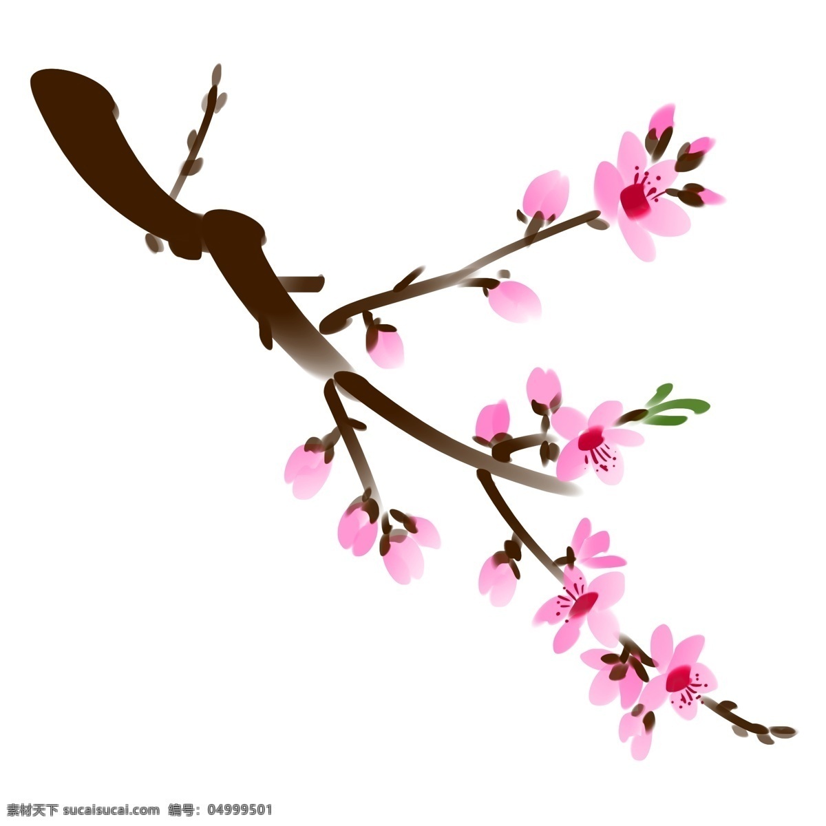 手绘 中国 风 桃花 树 彩色 卡通 花枝 装饰 中国风 粉色桃花 中国风花朵 插画 花朵 粉色花朵