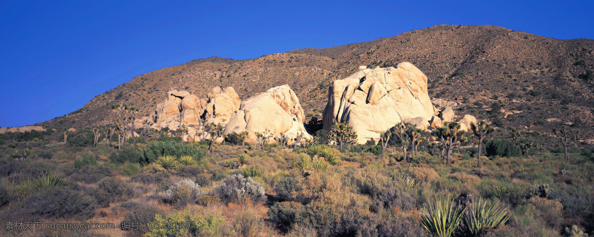 自然风景 壁纸 风光 旅游 自然 装饰素材 壁纸墙画壁纸