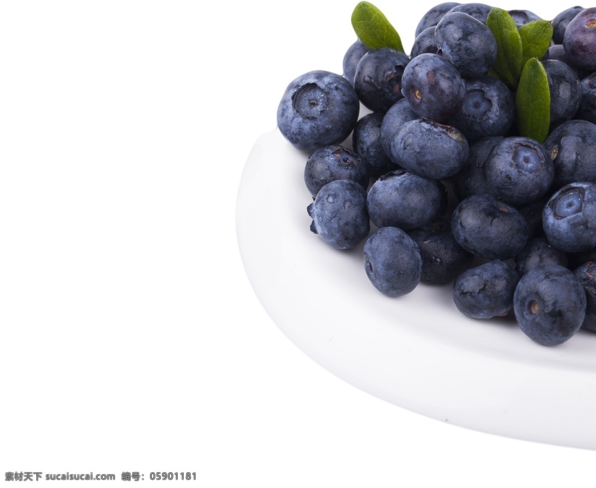 无公害 蓝莓 好吃 美味 果子 梅子 水果 瓜果 紫色 绿色 蓝色 装饰 食品 食材 食物 营养