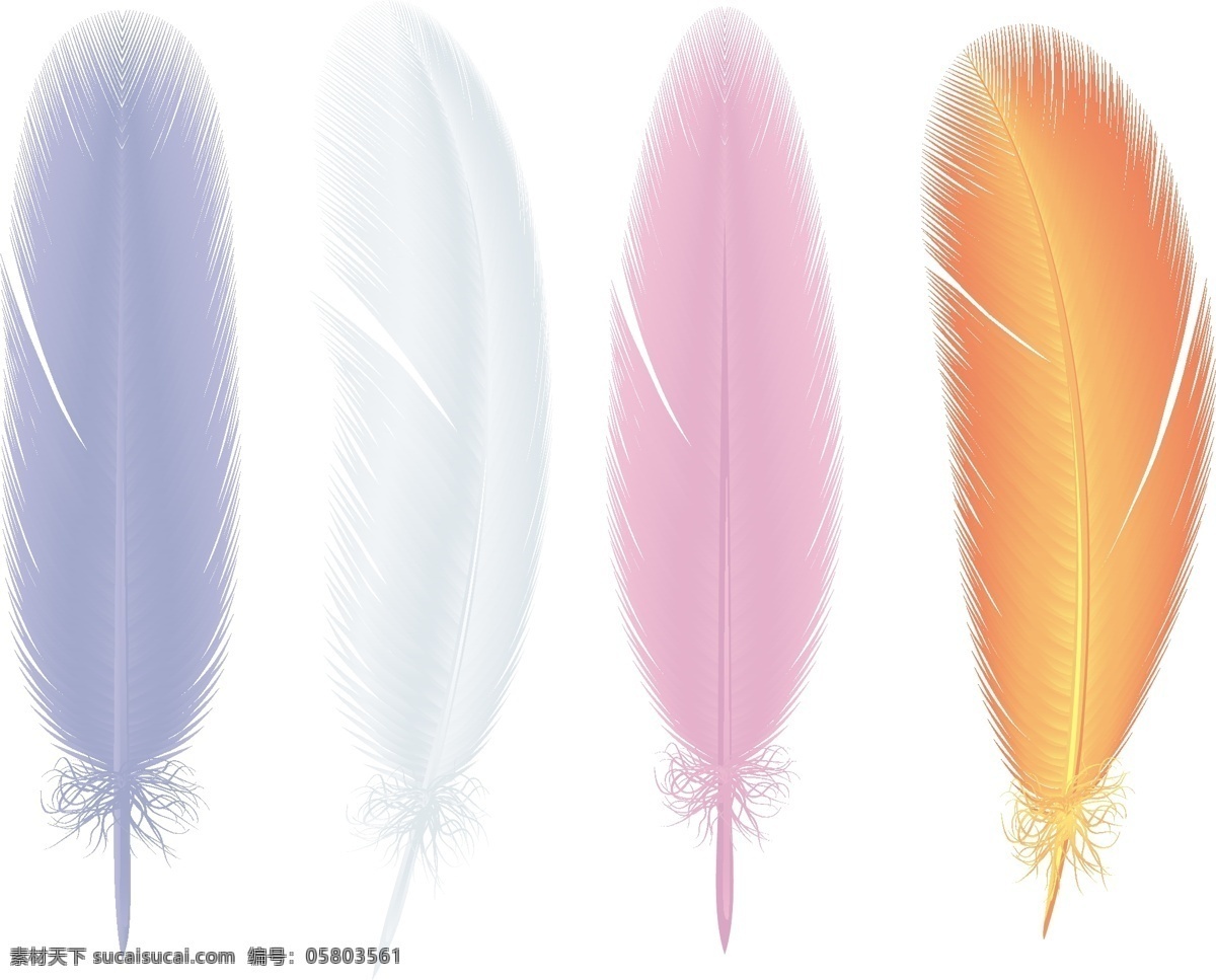 四 色 羽毛 矢量图 彩色 白色羽毛 多款 底纹边框 其他素材