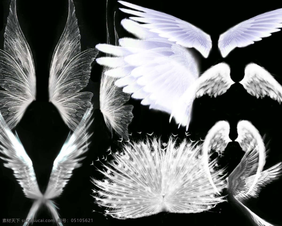 白色翅膀 翅膀 天使翅膀 白色天使翅膀 翅膀素材 孔雀 底纹边框 其他素材