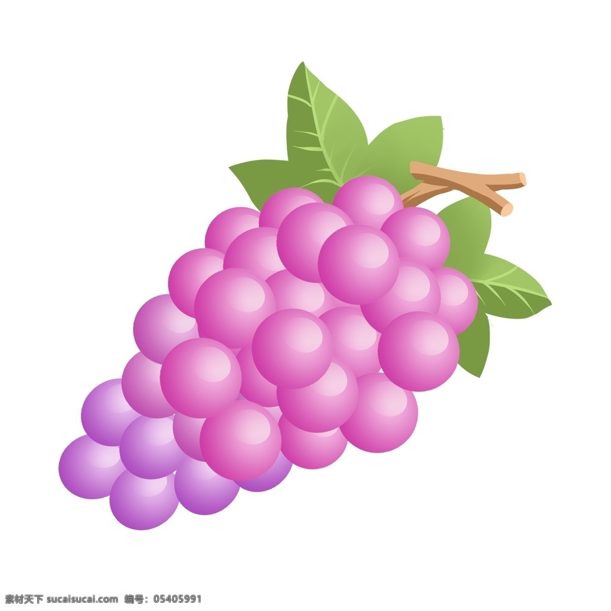 手绘 夏季 自然 清新 水果 紫色 葡萄 免 抠 夏季元素