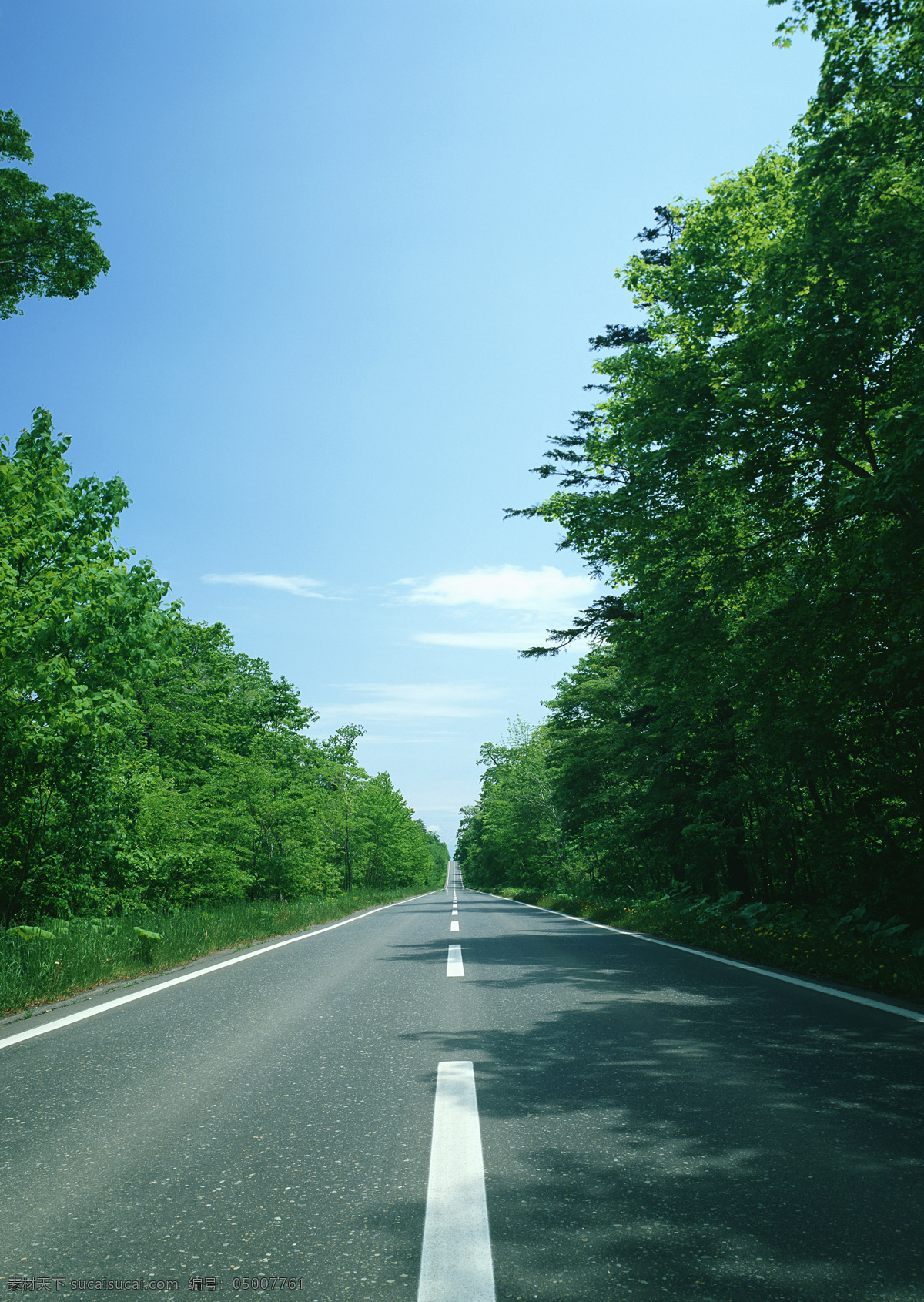 公路 马路道路 公路道路 乡间小路 道路 乡村道路 国道 乡间道路 马路 野外公路 森林公路 道路风光 路面 道路素材 树 对称道路 树与路面 自然风景 旅游摄影