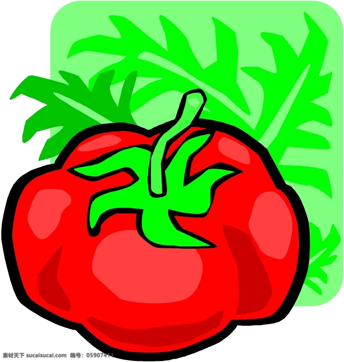 番茄 矢量 生物 世界 矢量素材 矢量图 蔬菜 蔬菜矢量图 西红柿 番茄矢量素材 其他矢量图
