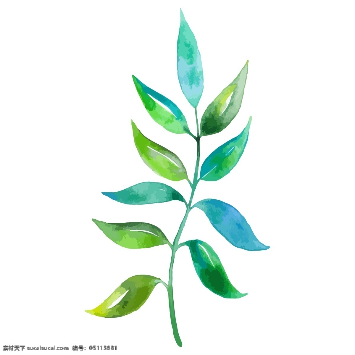 绿色 树叶子 植物 免 抠 图 生态植物 新鲜叶子 绿色枝条 健康的颜色 植物生长 免抠图