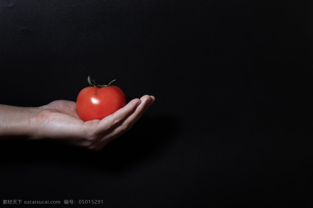 黑色 背景 手 捧 番茄 图 手捧 西红柿 蔬菜 健康背景图 摄影图