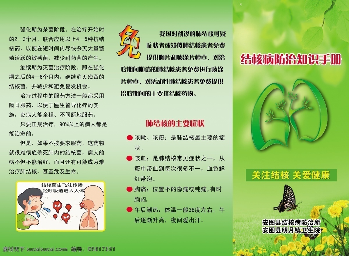 结核病 防治 手册 绿色