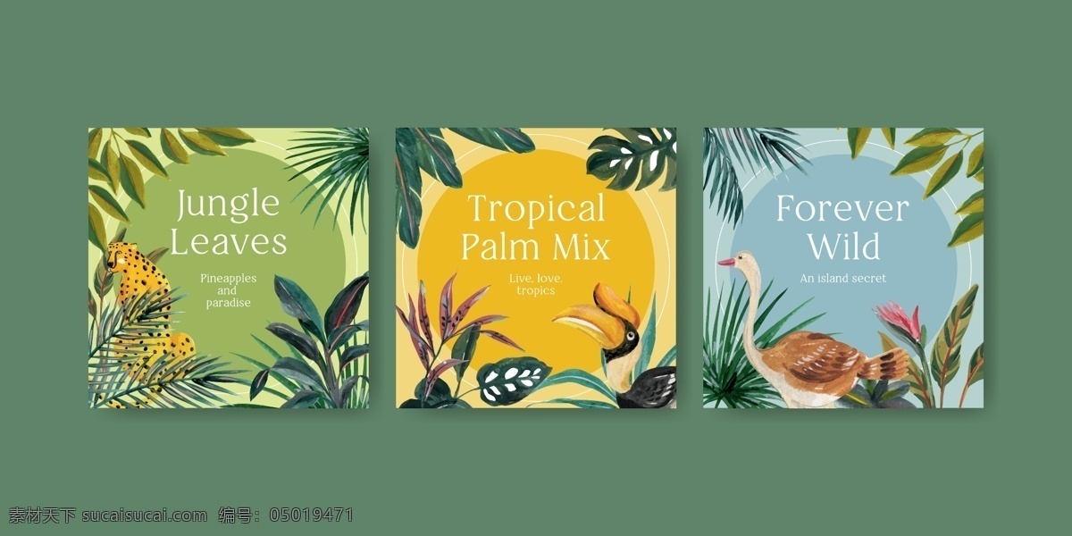 热带 水彩 插图 广告 热带水彩 插图广告 热带植物 热带主题 水彩插画 广告模板