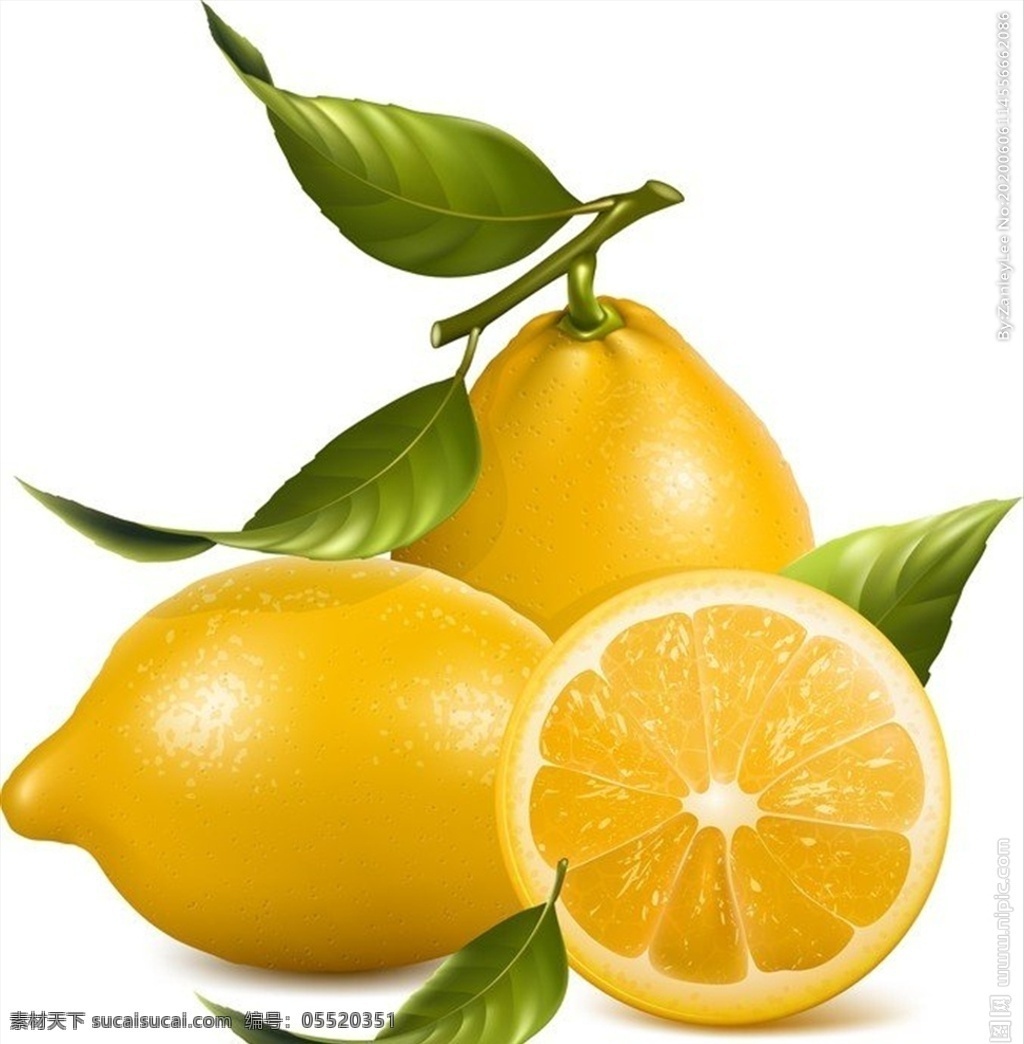 柠檬矢量文件 柠檬 柠檬矢量图 高清图 源文件 水果 生物世界
