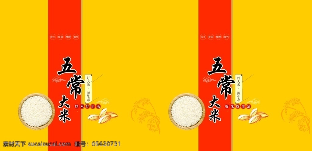 五常大米图片 大米 五常大米 香米 米 稻子 分层