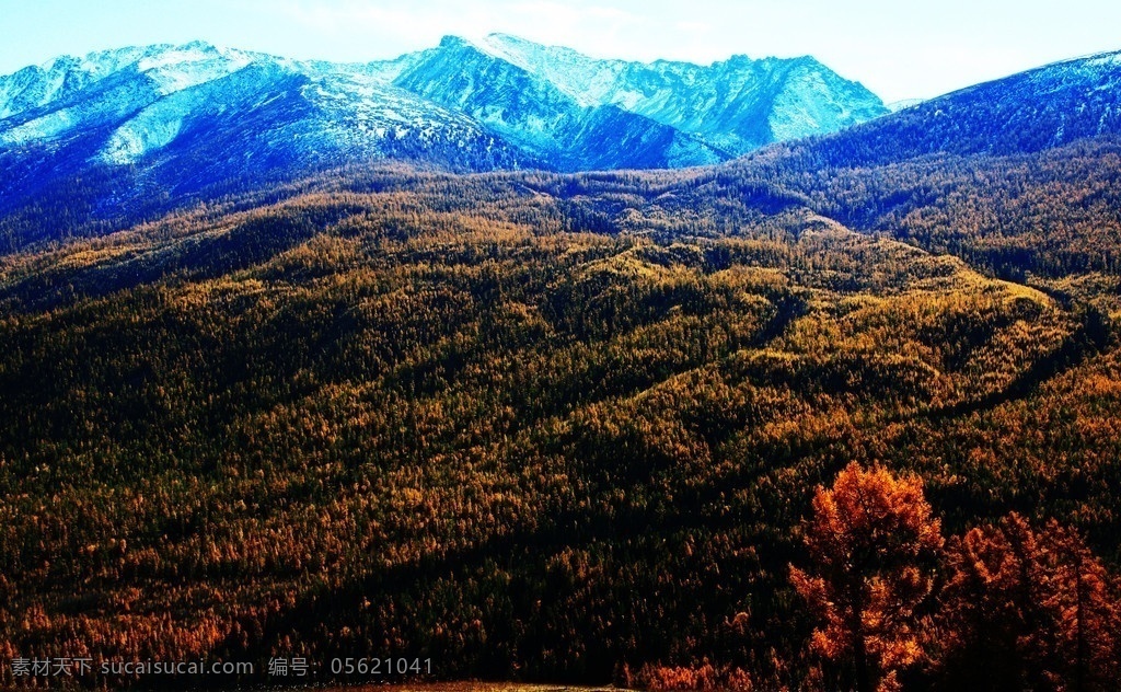 新疆 喀纳斯 秋色 塔松 山峦 山道 雪山 蓝天 白云 新疆哈纳斯 风景名胜 自然景观