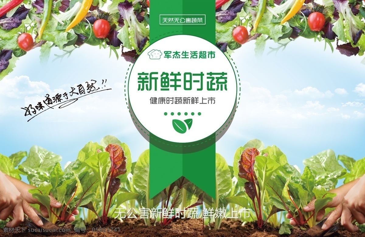 生鲜蔬菜 叶菜蔬菜 蔬菜展板 蔬菜海报 蔬菜文化 蔬菜素材 蔬菜挂画 蔬菜饮食 蔬菜营养 蔬菜超市 蔬菜市场 蔬菜广告 新鲜蔬菜 绿色蔬菜 蔬菜模板