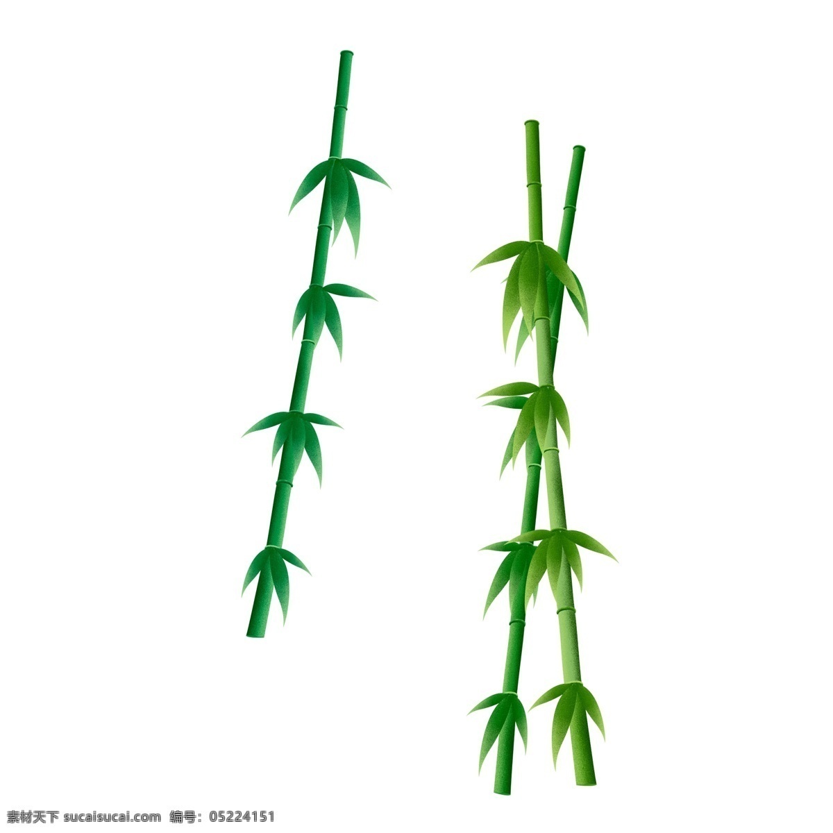 绿色 清新 竹子 元素 手绘 植物