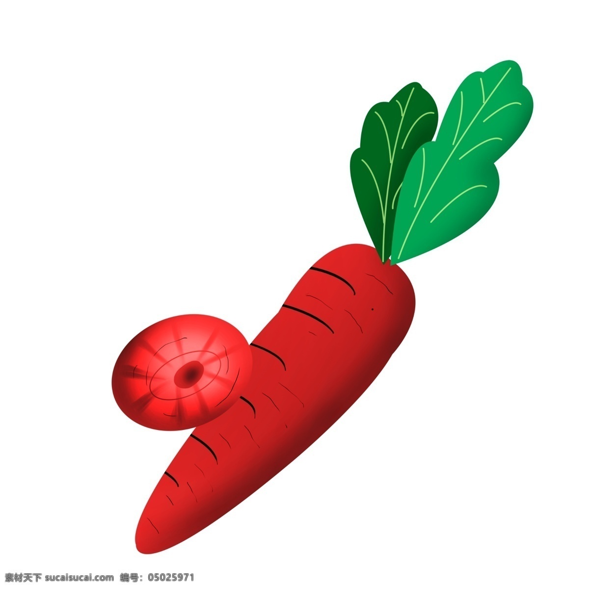 手绘 红色 萝卜 插画 绿色的叶子 水萝卜 胡萝卜 蔬菜 美味的萝卜 手绘萝卜 萝卜叶子 萝卜插画