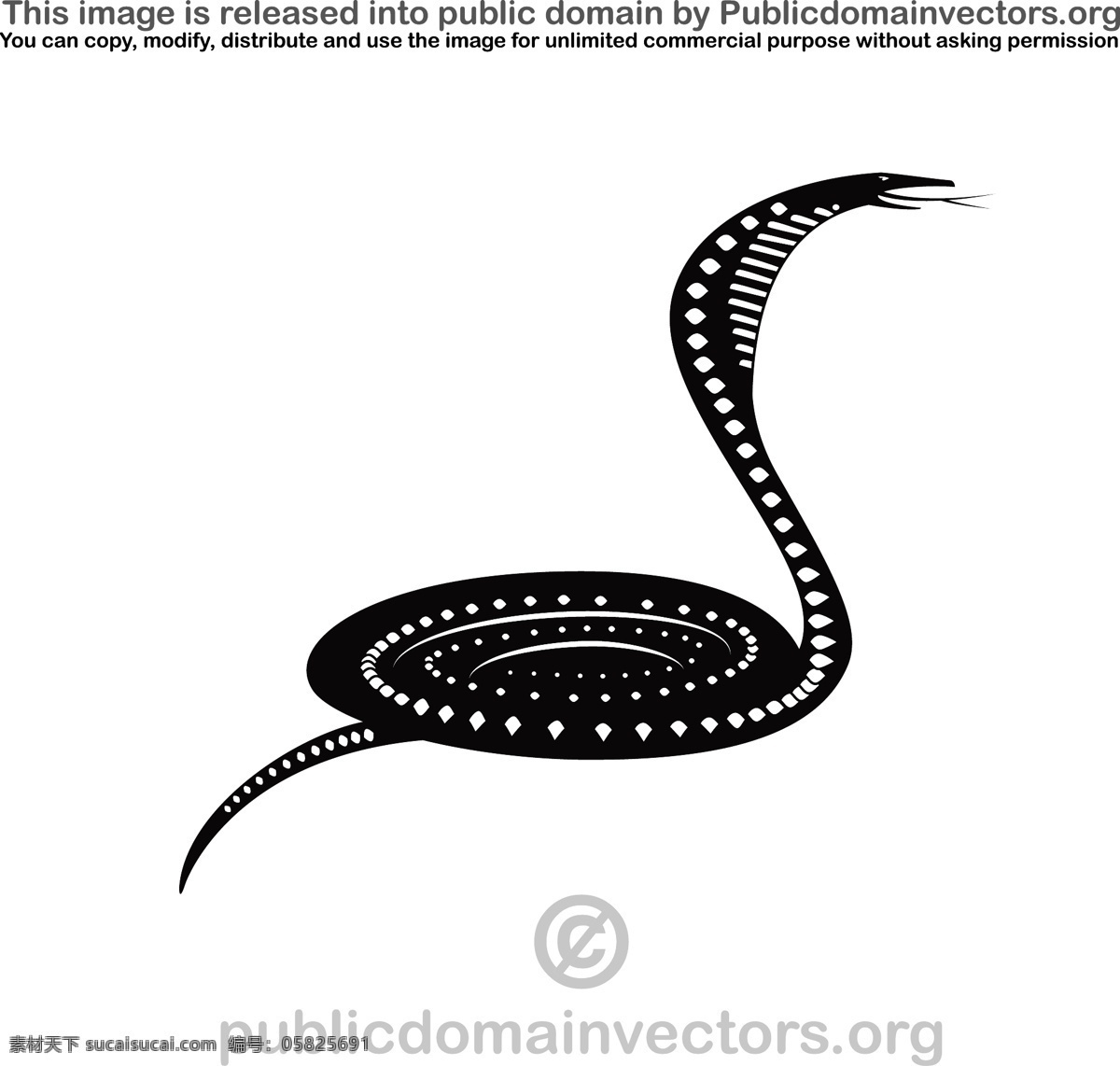 眼镜蛇向量 眼镜蛇 蛇 爬虫动物 动物 黑 白 毒液 毒蛇 白色