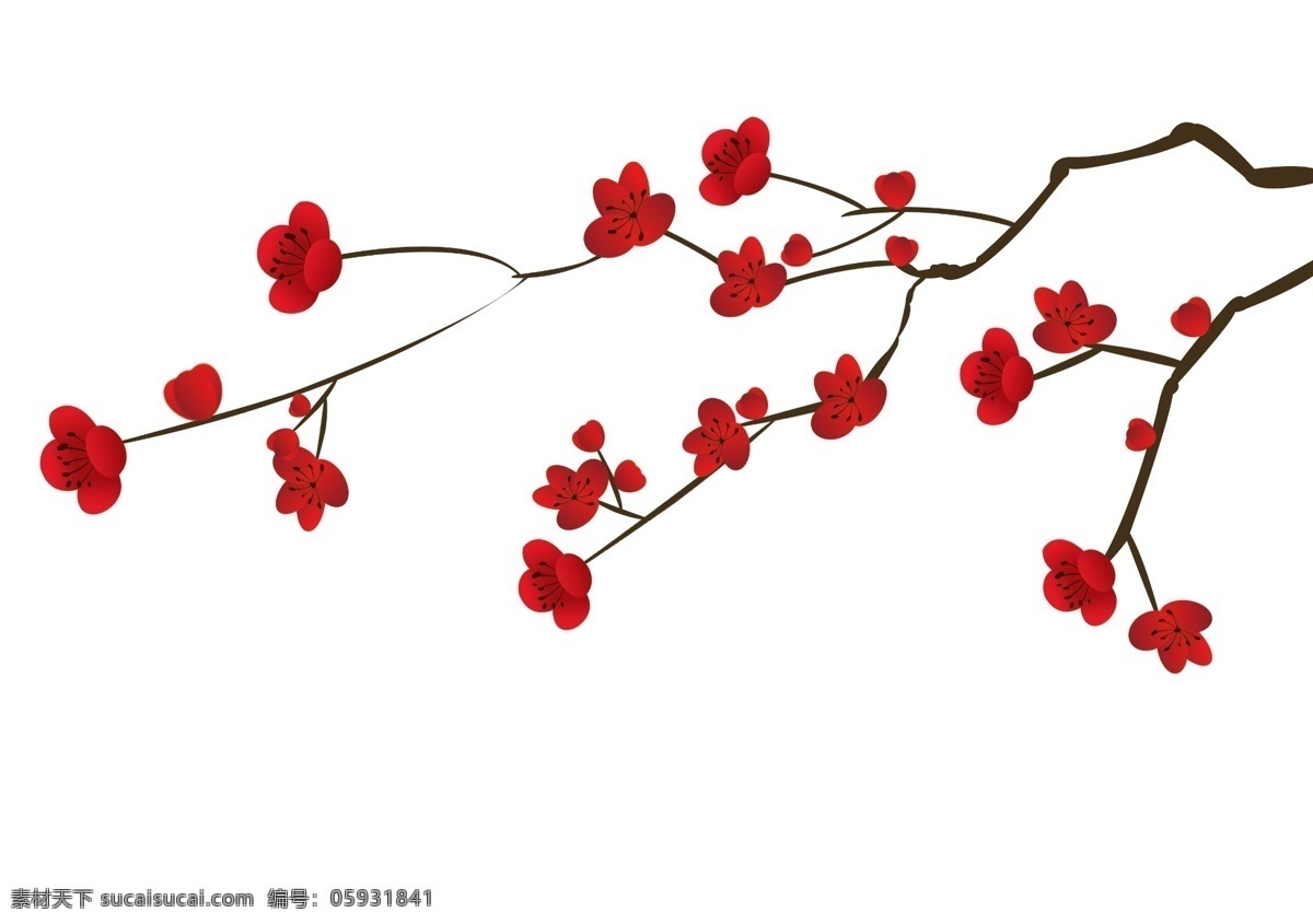 梅花图片 梅花 红色 高清 分层 花