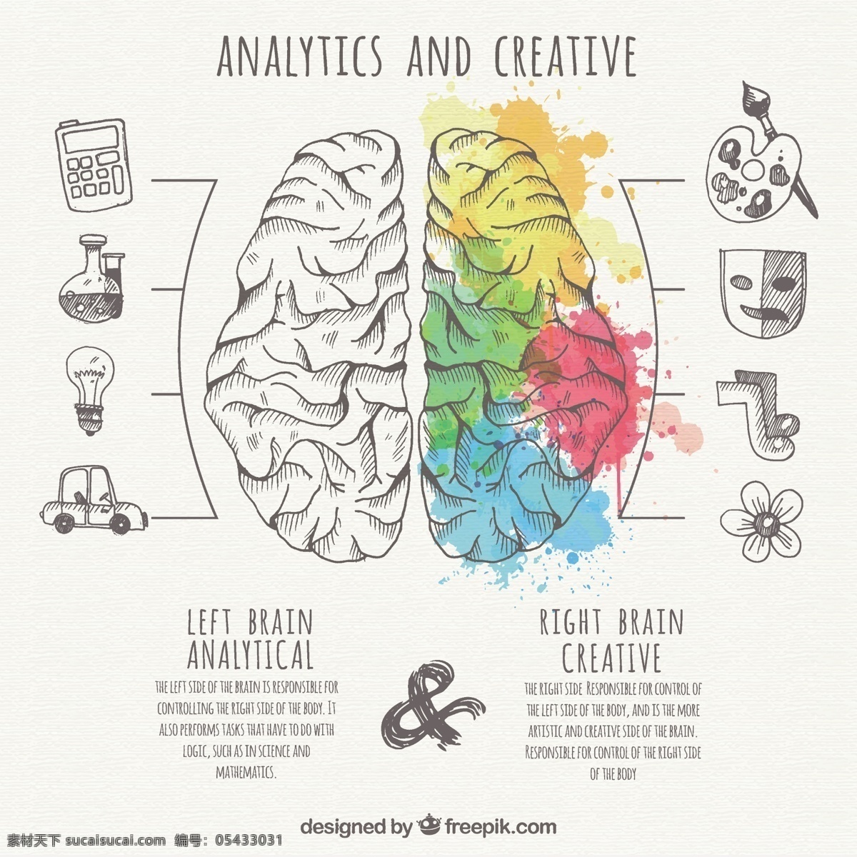 分析 创造性 部分 大脑 信息 图表 手 模板 脑 手绘 科学 丰富多彩 人力 创意 流程 信息图表模板 数据 信息图形 图形 知识 人权