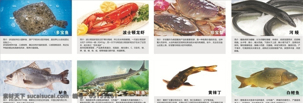 鱼 超市展板 龙虾 蟹 简介 源文件 展板模板 灰色调 展示牌